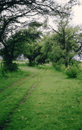 Caminos interiores