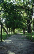 Caminos interiores